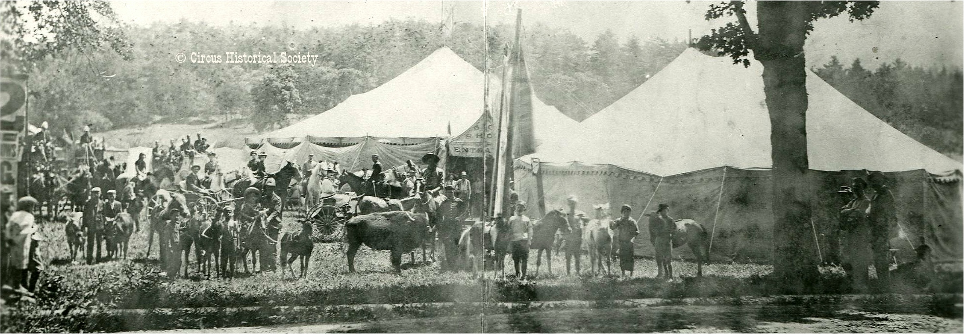 Carlin Bros. Circus