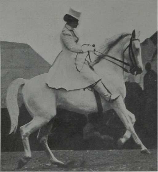 Horse, Columbus